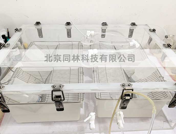 实验室臭氧暴露染毒实验模拟方法指南